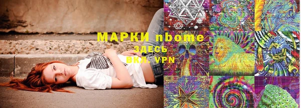 стаф Володарск