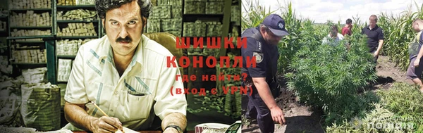 стаф Володарск