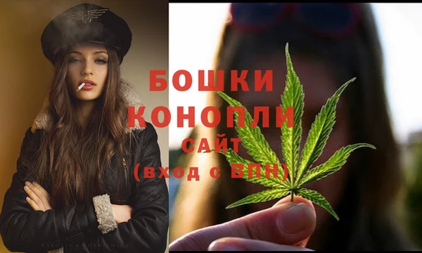 стаф Володарск