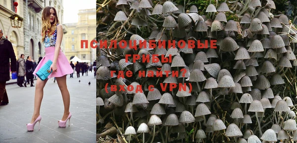 стаф Володарск