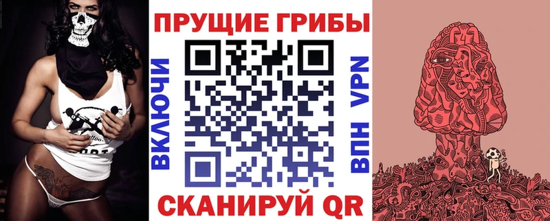 Купить  Петровск  Галлюциногенные грибы MAGIC MUSHROOMS 